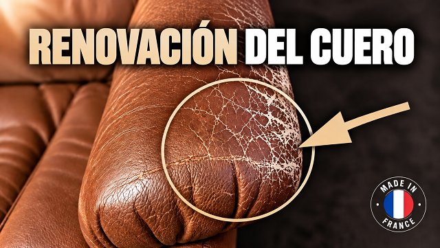 RENOVACIÓN DEL CUERO - SOFOLK