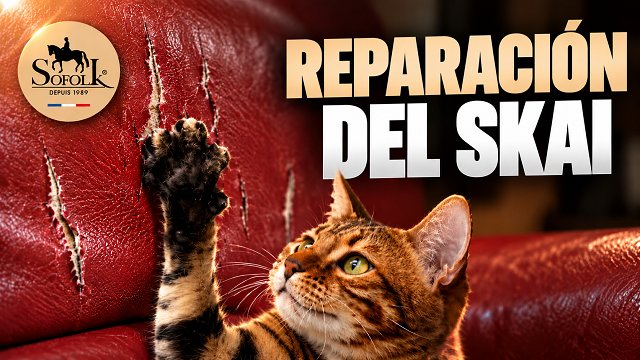 REPARACIÓN DE ARAÑAZOS DE GATO EN POLIPIEL / SKAI - SOFOLK