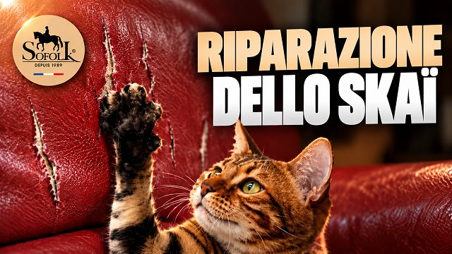 RIPARAZIONE DI GRAFFI DI GATTO SU SIMILPELLE / ECOPELLE - SOFOLK