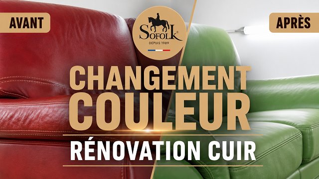 RÉNOVATION CUIR SPECTACULAIRE d’un canapé ROUGE en VERT