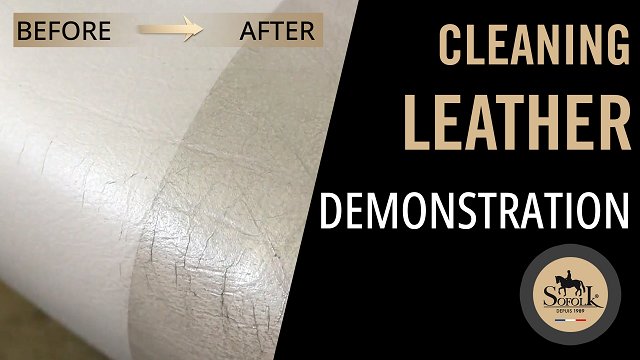LEATHER AND PLASTIC CAR CLEANER - SOFOLK
