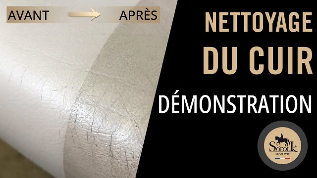 NETTOYANT CUIR ET PLASTIQUE DE VOITURE - SOFOLK