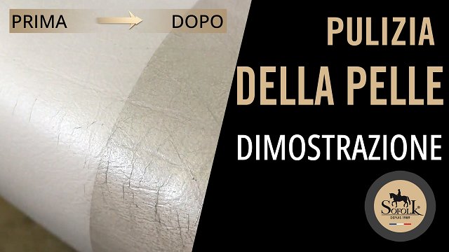 DETERGENTE PER AUTO IN PELLE E PLASTICA - SOFOLK