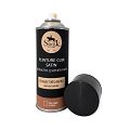 PEINTURE CUIR AUTO EN AEROSOL