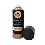 PEINTURE CUIR