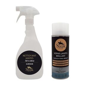 Cleaning and protection kit for aluminium wheels