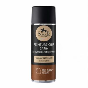 Peinture satinée pour cuir en aérosol. Haute performance et facile à appliquer