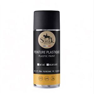 PEINTURE PLASTIQUE AUTO