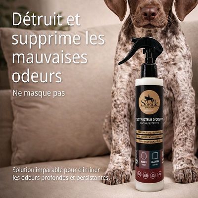 DESTRUCTEUR D'ODEURS