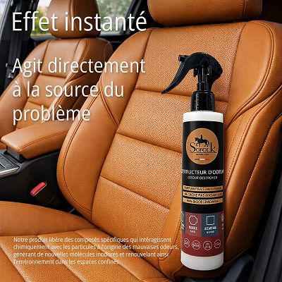 DESTRUCTEUR D'ODEURS