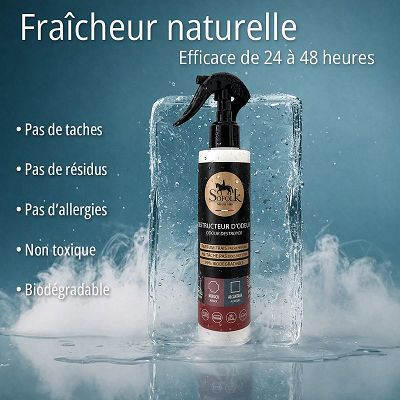 DESTRUCTEUR D'ODEURS