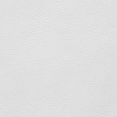 PEZZO DI CUIO 10X20CM