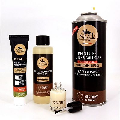 KIT DI RINNOVAMENTO DELLA PELLE PER I SEDILI DELL'AUTO IN SPRAY