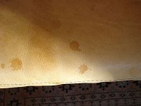 taches d'eau taches cuir chevelu plus décoloration