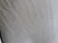 canapé 2pl siège griffé