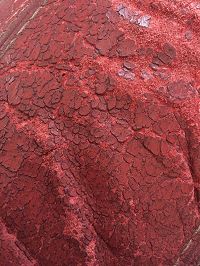 Tutoriel rénovation salon cuir