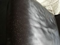 Restauration canapé d'angle avec griffure de chats ....