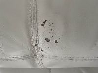 problème lors de la rénovation d'un fauteuil en cuir