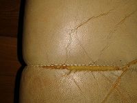 renovation siège auto déchiré / craquelé