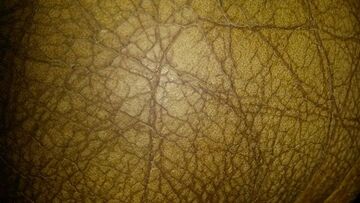 cracked leather sofa - 1