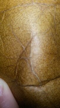 cracked leather sofa - 2