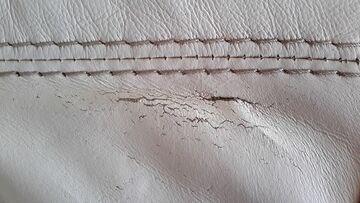 Scratch and tear sofa