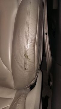 Leather color