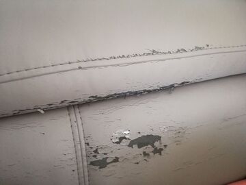 polyurethane sofa that peels