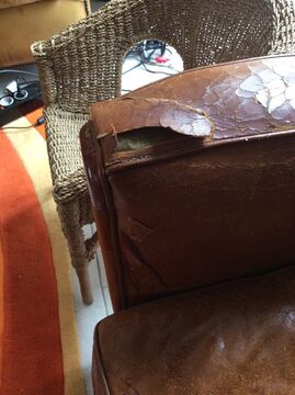 repair and detach leather club 2