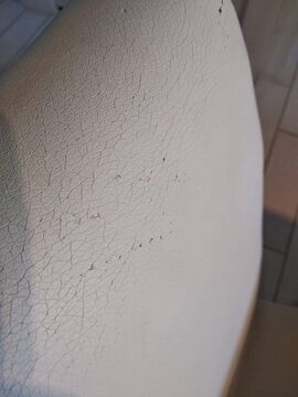 Treatment of cat scratches - 1