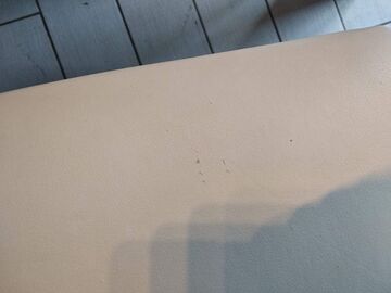 Treatment of cat scratches - 2