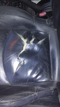 torn 206 2L HDI leather seat