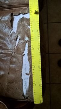 A leather living room to be completely redone - 3