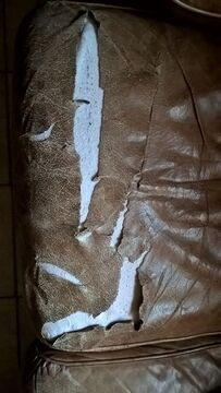 A leather living room to be completely redone - 4