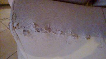 Renovation of a very damaged sofa - 1