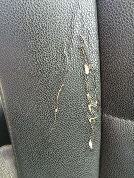 Advice for renovation