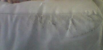 1 COUSSIN DOSSIER DE MON CANAPÉ EST USE ANORMALEMENT PAR RAPPORT AU RESTE QUI EST RESTE NICKEL - 1