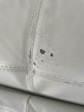 problème lors de la rénovation d'un fauteuil en cuir