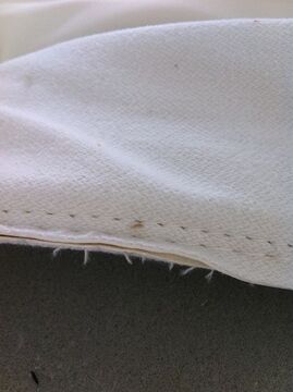 doute un sur un canapé en cuir ou simili cuir