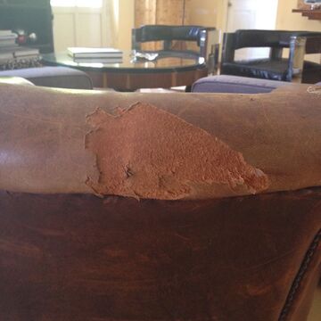 fauteuil club - 1