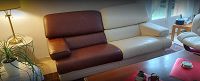 canapé cuir rénové en 2 couleurs. super résultat