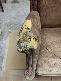 rénovation fauteuil club grâce à l'excellence de vos produits