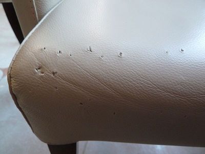 renovation of the armchair following cat scratches