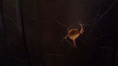 seat restoration jaguar xj6