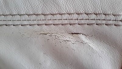 scratch and tear sofa