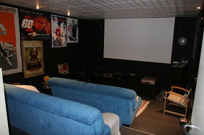 black tinting of blue alcantara sofas