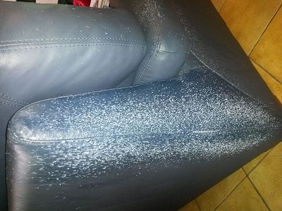 repair of cat scratches on night blue leather sofa