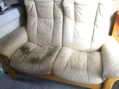 doubt color leather bmw dakota