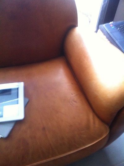 cleaning and colouring of the lounge club leather basane