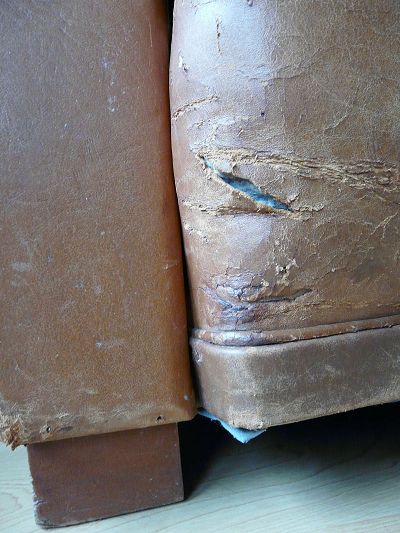 repair and recolouring of club chair